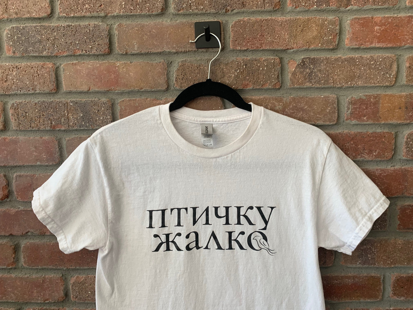 ПТИЧКУ ЖАЛКО/ BIRD unisex tee