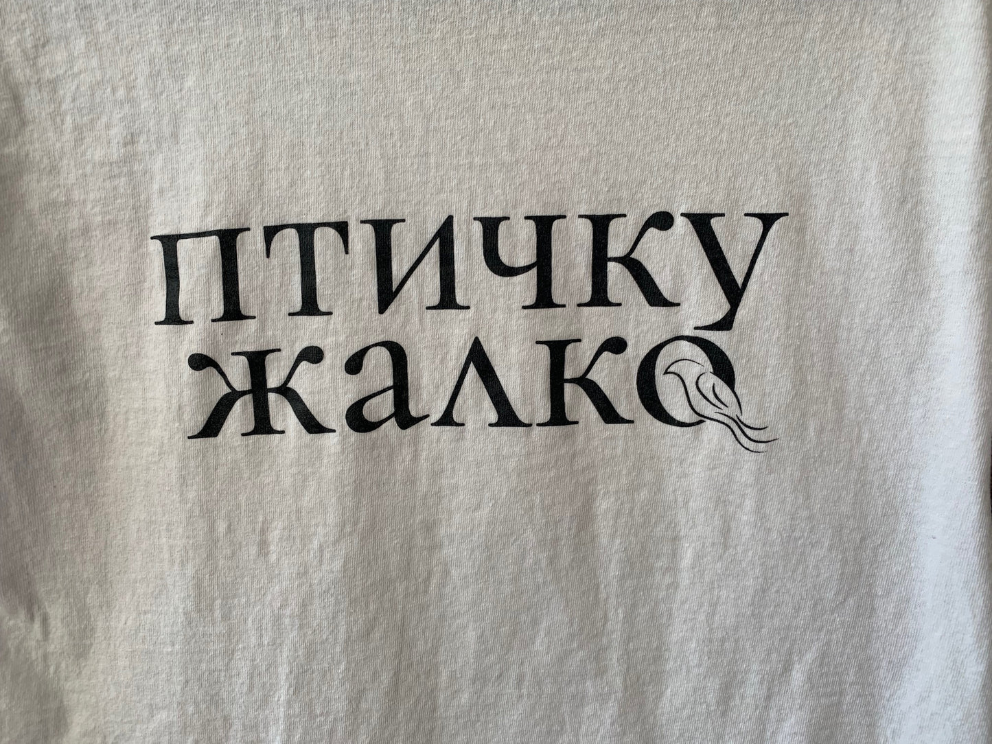 ПТИЧКУ ЖАЛКО/ BIRD unisex tee