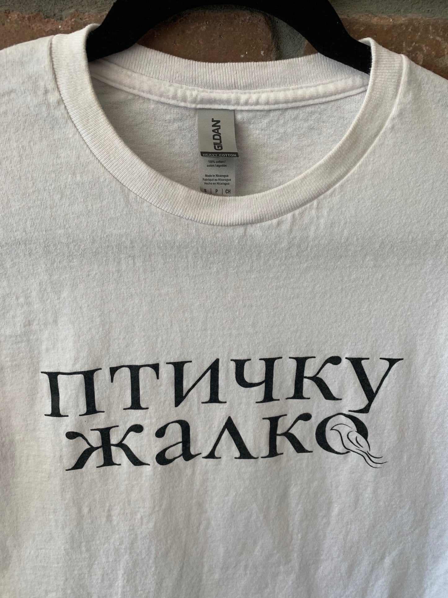 ПТИЧКУ ЖАЛКО/ BIRD unisex tee